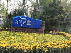 -白鹭湾湿地公园