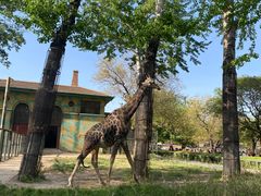 -北京野生动物园