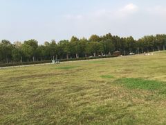 -春树下·院子露台西餐厅(中隐于市店)