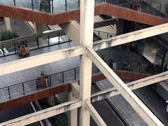 -张坝桂圆林公园