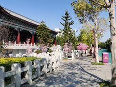 -厦门方特梦幻王国