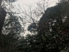 -宁海森林温泉