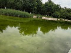 -绿岛公园(滨海新区)