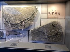 -贵州省地质博物馆