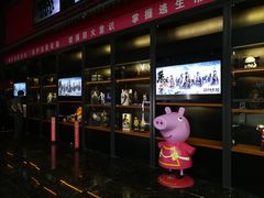 -万达影城(西铁营万达广场IMAX店)