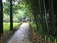 -同里国家湿地公园