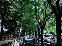 -护国寺小吃(和平西街店)
