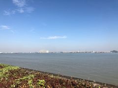-海鸥岛