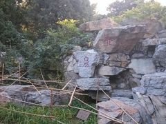 android_upload_pic-玲珑塔公园