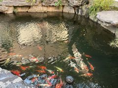 -新荣记(西溪湿地店)