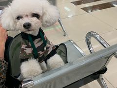 -房地产交易中心-停车场