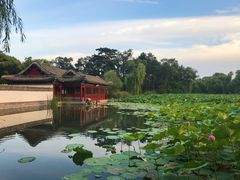 -清真喜兰老丁羊汤特色小吃