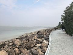 -吴淞炮台湾湿地森林公园烧烤区