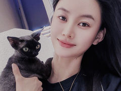 -琪喵猫屋·撸猫猫咖·猫舍