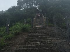 -修水东浒寨风景区
