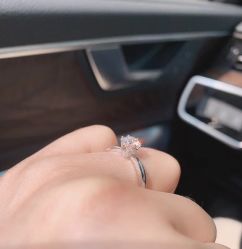 -Zbird钻石小鸟·钻戒婚戒定制高端珠宝私人定制中心