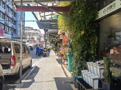 -溪岸路花鸟市场