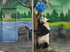 -秦皇岛野生动物园