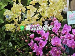 -盒马鲜生(189购物中心店)