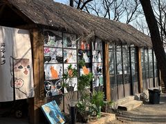 -沂蒙山旅游区云蒙景区(蒙山国家森林公园)
