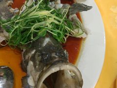 -蚝专家(北滘店)