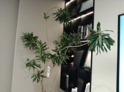 -颜蕾医美·黄金微针·水光·玻尿酸·超声炮·抗衰中心