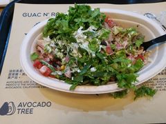 -油梨树 AVOCADO TREE(亮马桥店)