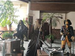-重庆海昌加勒比海水世界
