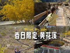 -黄花溪