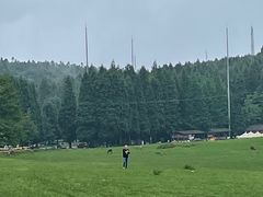 -武陵山森林公园