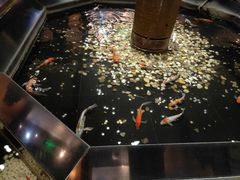 -老六杀猪菜(进乡街店)