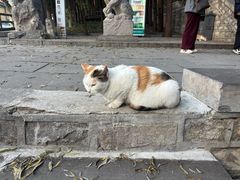 -四门塔风景区