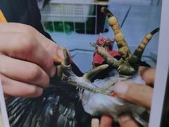 -峰瑞藏地美食·石锅鸡·牦牛肉(大昭寺品牌店)
