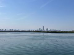 -五缘湾湿地公园