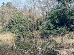 -白马涧龙池景区