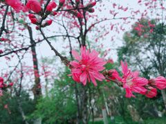 -莲湖公园