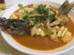 -煲来饱去冷水鱼
