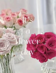 -美肤盾祛痘·问题肌头疗管理中心