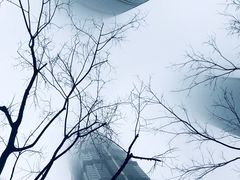 -上海中心大厦