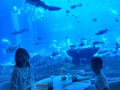 -亚特兰蒂斯•OSSIANO奥西亚诺海底餐厅