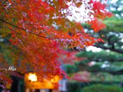 -常寂光寺