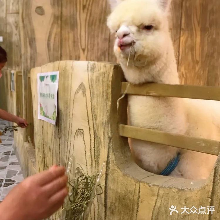 198元一大一小畅玩整个动物园