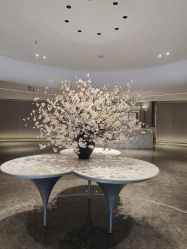 -广州美莱医疗美容医院