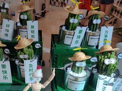 -合景·悠方(成都店)
