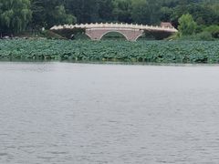 -大兴滨河森林公园