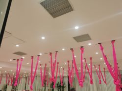 -葆姿普拉提·瑜伽