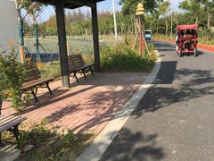 -上海长兴岛郊野公园