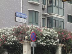 -上海市闵行科技幼儿园