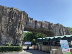 -合肥野生动物园