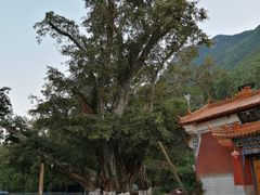 -抚仙湖禄充风景区